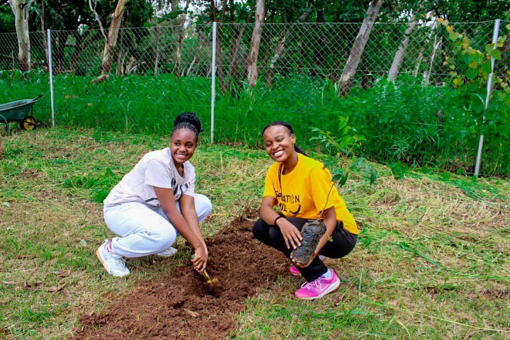 Kamuzu Academy Annual Tree Planting exercise 2025 - Image 9